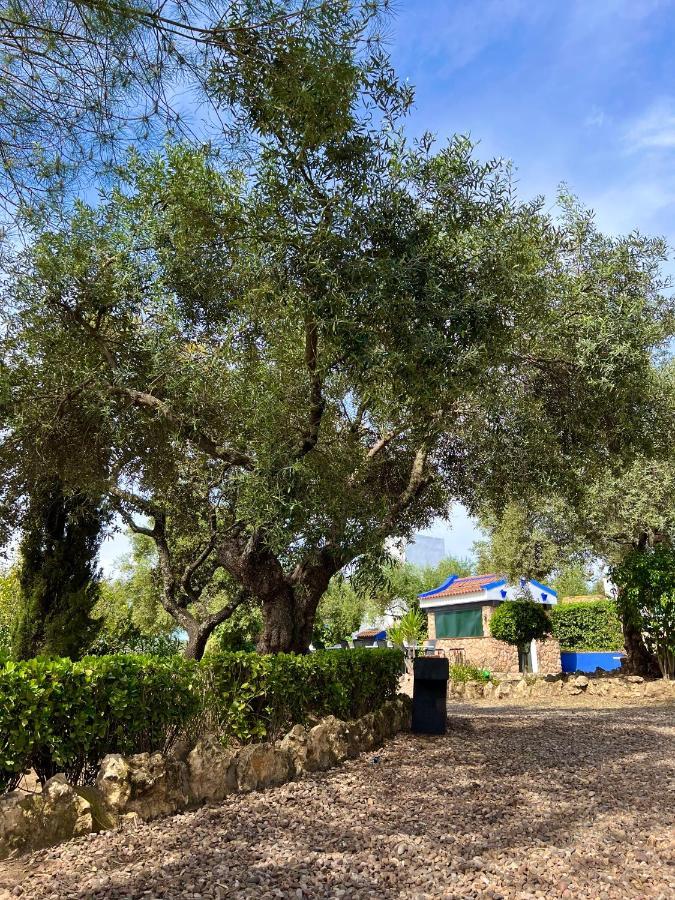 הוילה הורנאצ'ולוס Complejo Rural Mirador De La Alcaidia מראה חיצוני תמונה